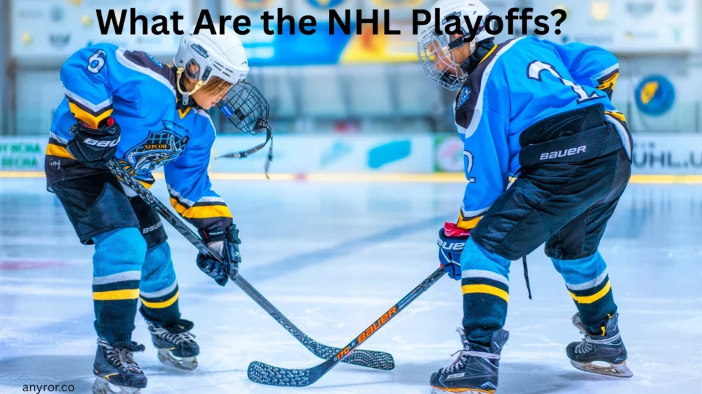 What Are the NHL Playoffs
